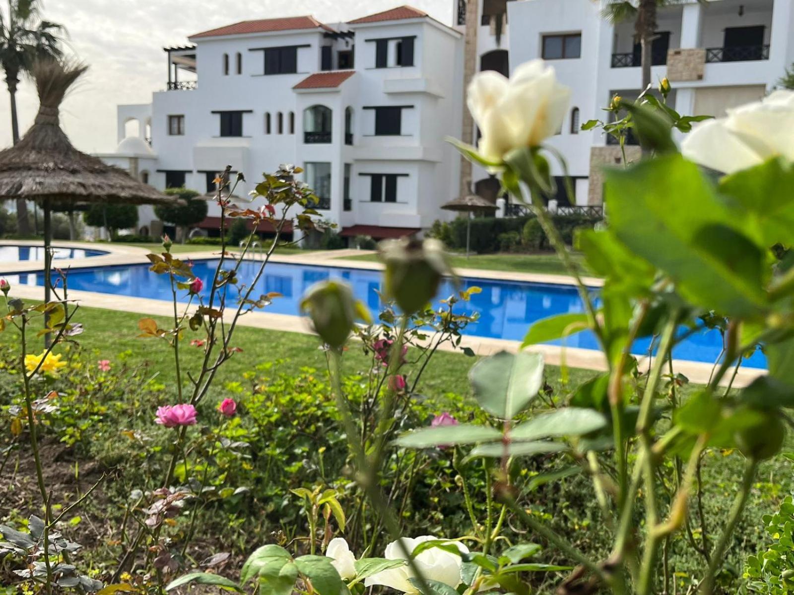 Lilac's Garden vue piscine M'Diq Exterior foto